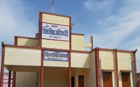 बच्चों के सामने खर्राटे और जुआ खेलते वीडियो वायरल; छतरपुर कलेक्टर के निर्देश पर जिला शिक्षा अधिकारी की कार्रवाई