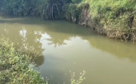 शिवपुरी के कोलारस में दर्दनाक हादसा, मोमोज खाने निकले दो मासूम बच्चों की नाले में डूबने से मौत