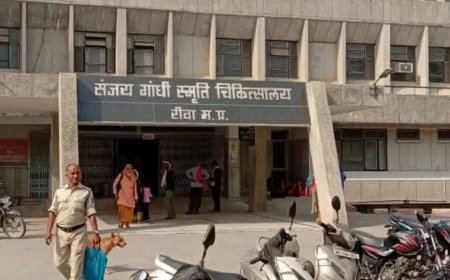 मृत घोषित बुजुर्ग निकला जिंदा, रीवा के संजय गांधी अस्पताल में मचा हड़कंप