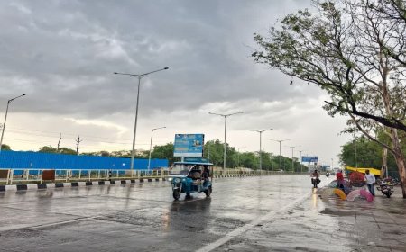 भोपाल मौसम केंद्र का बड़ा अलर्ट; छतरपुर, पन्ना, मंडला, छिंदवाड़ा समेत 10 जिलों में होगी तेज बारिश