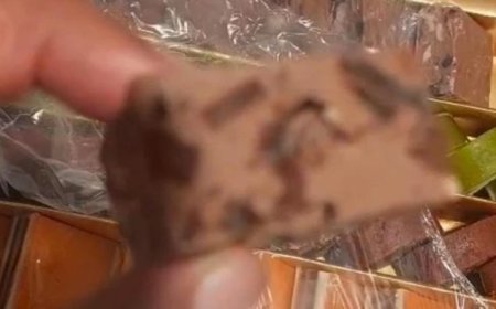 राजधानी में खाद्य सुरक्षा विभाग का बड़ा छापा, मंदाकिनी स्क्वायर स्थित 'टेस्ट ऑफ छेना' की मिठाई में मिली इल्लियां