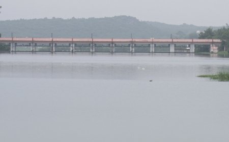 मध्य प्रदेश के कई जिलों में गरज-चमक के साथ मूसलाधार बारिश, मौसम विभाग की चेतावनी