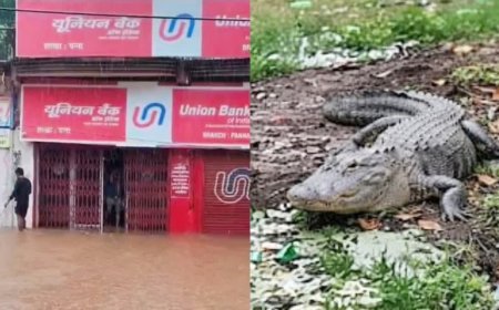 लगातार बारिश से बृहस्पति कुंड का झरना उफान पर, केन नदी के बढ़ते जलस्तर से तटवर्ती इलाकों में अलर्ट
