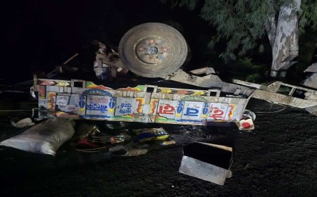 मंदसौर में फोरलेन पर भीषण हादसा; ट्रक की टक्कर से पलटी मजदूरों से भरी ट्रैक्टर ट्रॉली, 2 की मौत, 19 घायल