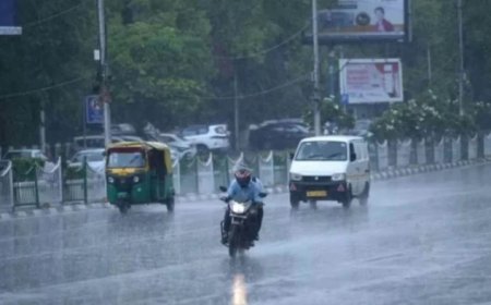 निवाड़ी और मऊगंज में सबसे ज्यादा तो अलीराजपुर-धार में सबसे कम बरसे बदरा, जानें पूरी रिपोर्ट