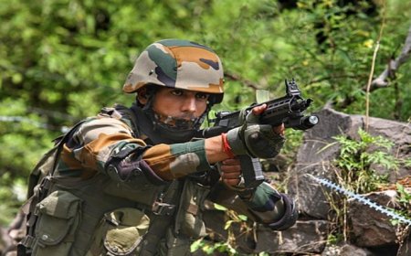 कलेक्टर प्रतिभा पाल ने की उच्चस्तरीय बैठक, इंदिरा गांधी इंजीनियरिंग कॉलेज में होगी भर्ती