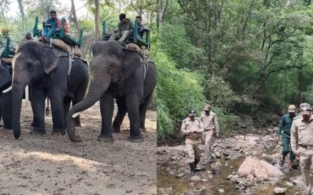 वन्यजीवों के बीच काम करने वाले 350 कर्मचारियों को मिला स्पेशल पैकेज; एंबुलेंस से लेकर बीमा तक की सुविधा