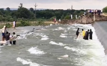 छतरपुर में 48 घंटे की मूसलाधार बारिश से हाहाकार, उफान पर नदियां-नाले और विदेशी पर्यटकों की बस फंसी