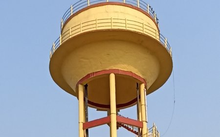 उमरिया में नल जल योजनाओं के 4 करोड़ बिजली बिल बकाया, कनेक्शन कटने से गांवों में पानी के लिए हाहाकार