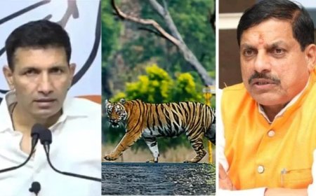 बांधवगढ़-अचानकमार टाइगर कॉरिडोर के पास कोयला खदानों पर सियासत; जीतू पटवारी ने सरकार को घेरा