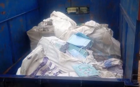 टोरियाखुर्द स्कूल की 5 क्विंटल किताबें ऑटो में ले जा रहे शिक्षक का वीडियो वायरल, शिक्षा विभाग में हड़कंप