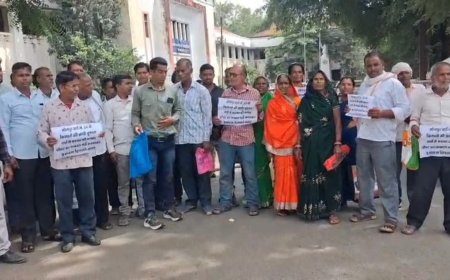 छिंदवाड़ा और चौरई में मक्के की फसल को भारी नुकसान; पीएम फसल बीमा योजना से राहत की मांग