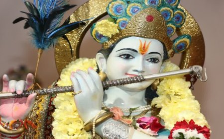 1967 के बाद पहली बार जन्माष्टमी पर ऐसा अद्भुत योग, ज्योतिषाचार्य से जानें राशि अनुसार विशेष साधना