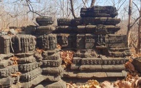 मांडू के पास जंगल में दफन है इतिहास का अनमोल अध्याय, संरक्षण के अभाव में विलुप्त हो रही 'बूढ़ी मांडू' की धरोहर