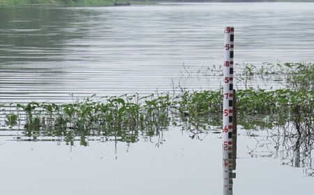 मध्यप्रदेश में मानसून का रौद्र रूप, 28 जिलों में भारी से अति भारी बारिश का रेड और ऑरेंज अलर्ट जारी