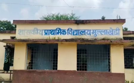 शाजापुर में शिक्षिका का पति बना 'सरजी', फर्जी बच्चों से भरा क्लासरूम; कलेक्टर के निर्देश पर नोटिस जारी