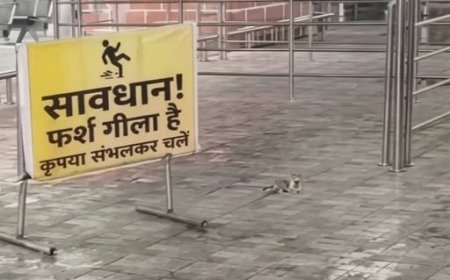 450 करोड़ की लागत से बने जबलपुर एयरपोर्ट के नए टर्मिनल की खुली पोल, छत से टपक रहा पानी और फर्श पर भरा जलभराव