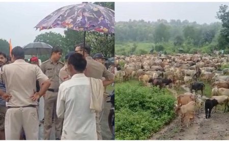 ब्यौहारी में जिला पंचायत सदस्य के नेतृत्व में किसानों ने घेरा प्रशासन, मांगें पूरी होने तक धरने की चेतावनी