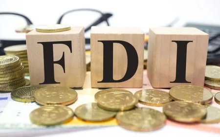 11 साल में 843 बिलियन डॉलर का रिकॉर्ड FDI, जानें किस राज्य और सेक्टर में आया सबसे ज्यादा पैसा