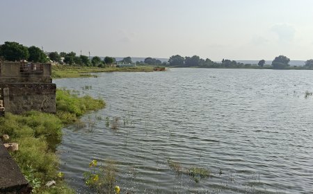 पिछले साल के मुकाबले इस साल सिर्फ 34 फीसदी जलभराव, रबी सीजन की फसलों पर मंडराया बड़ा खतरा