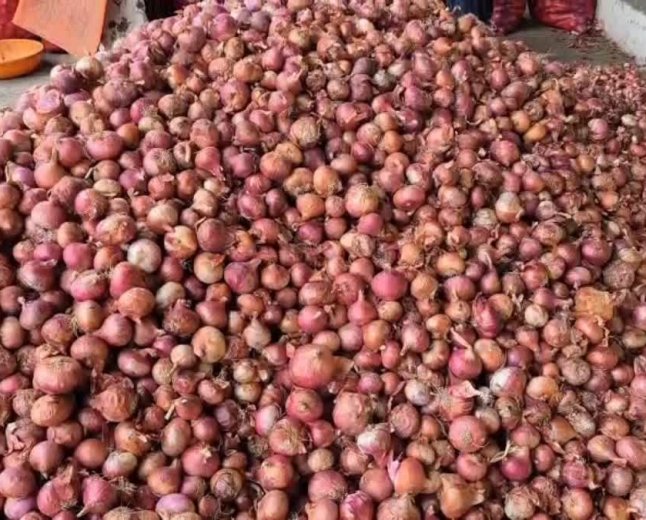 किसानों को नहीं मिल रहा प्याज की तेजी का पूरा लाभ, बिचौलियों की चांदी, खुदरा बाजार में दाम आसमान पर