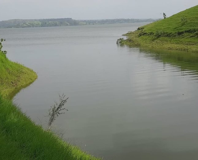 धोलावाड़ डैम के पानी पर रार! कलेक्टर ने रोका सिंचाई का पानी, सैलाना विधायक डोडियार ने दी आंदोलन की चेतावनी