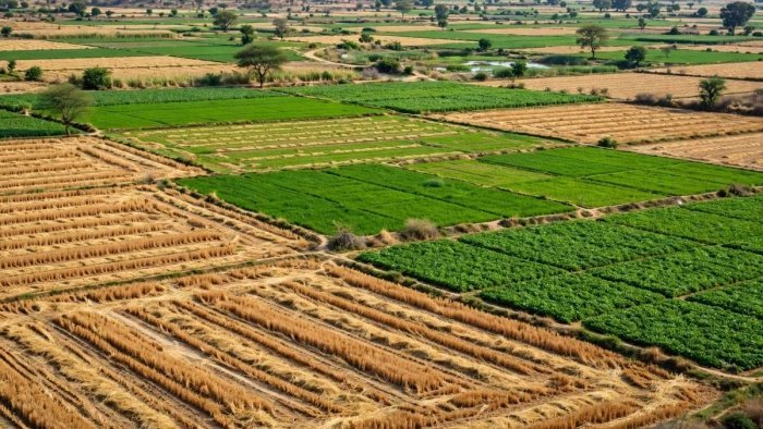 BIZ 1 और BIZ 2 श्रेणी के खिलाफ किसानों का हल्लाबोल, जानिए क्यों हो रहा है विरोध