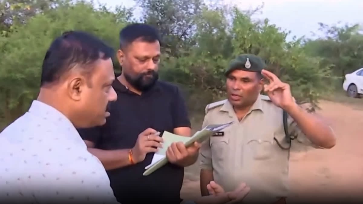 कूनो में चीता सुरक्षा को लेकर गंभीर सवाल, एनटीसीए (NTCA) और डब्ल्यूसीसीबी (WCCB) की जांच तेज