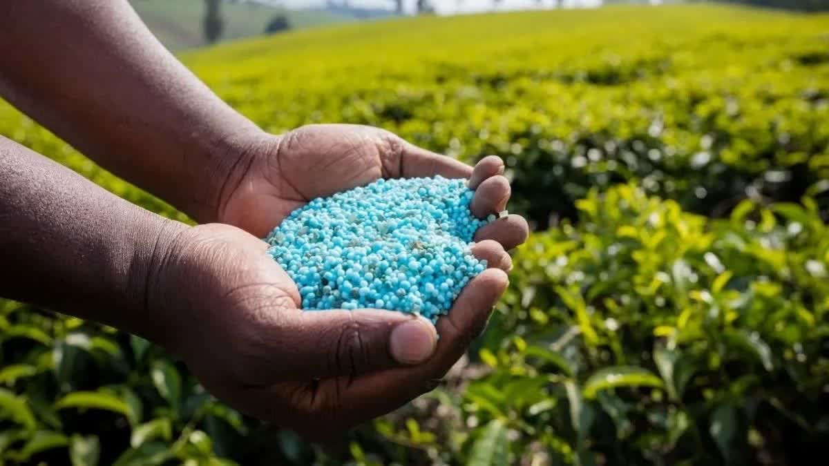 गुना के किसानों के लिए राहत की खबर, अब सुबह 8 से रात 8 बजे तक खुलेगा खाद का स्लॉट; पूर्व मंत्री ने की घोषणाएं