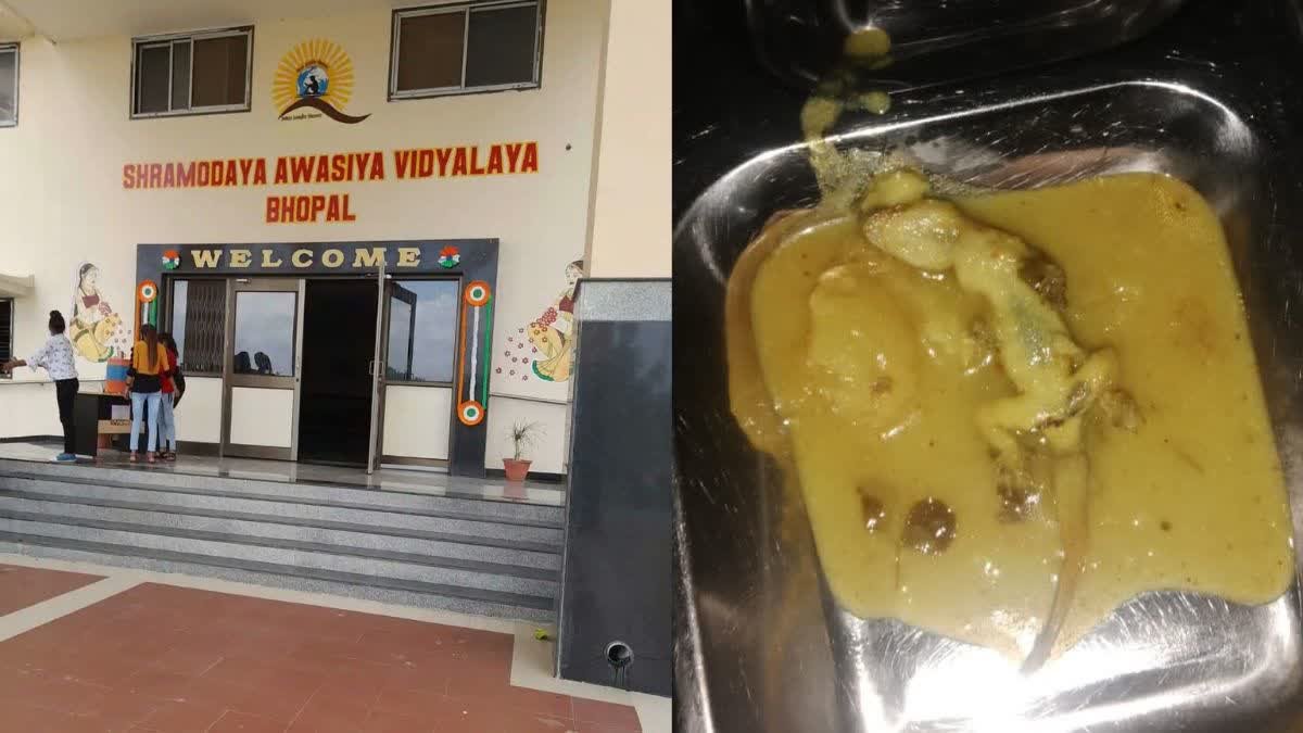 रातीबड़ इलाके के आवासीय विद्यालय का मामला, बच्चों को परोसे गए खाने में मिली छिपकली