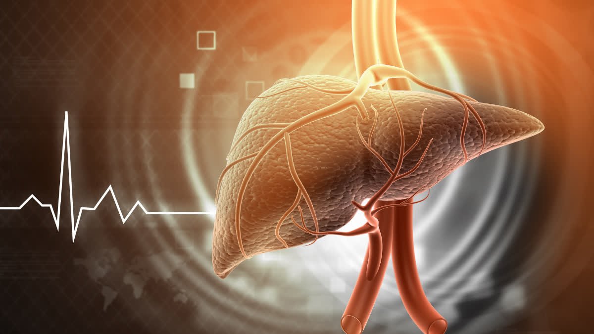 फैटी लिवर की समस्या से जूझ रहे हैं देश के 39% लोग, लिवर ट्रांसप्लांट सर्जन युक्तांश पांडे ने बताए बचाव के उपाय