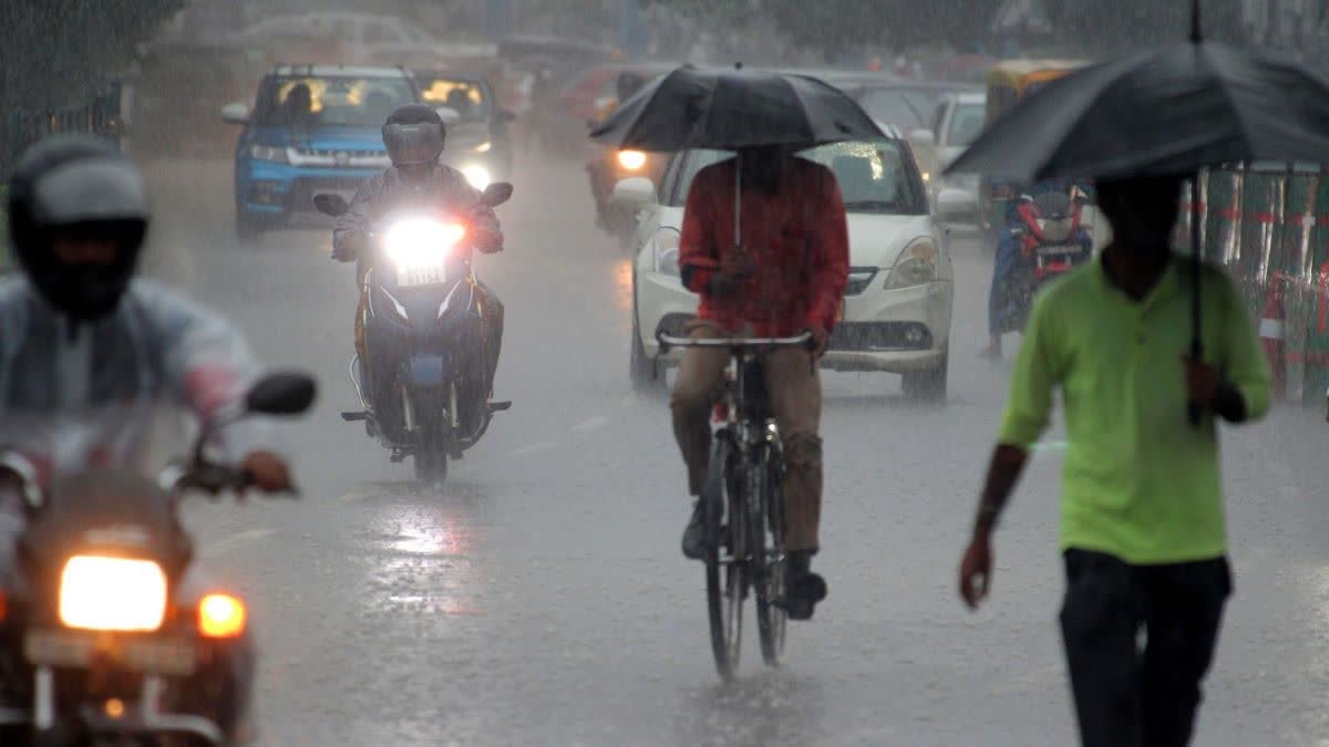 मध्य प्रदेश में फिर बदलेगा मौसम, ग्वालियर-इंदौर समेत 20 से ज्यादा जिलों में बारिश और बिजली की चेतावनी