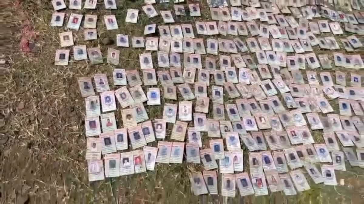 मंडलेश्वर में नर्मदा तट पर लावारिस मिले राऊ विधानसभा के 343 वोटर कार्ड, BLO से मांगा स्पष्टीकरण