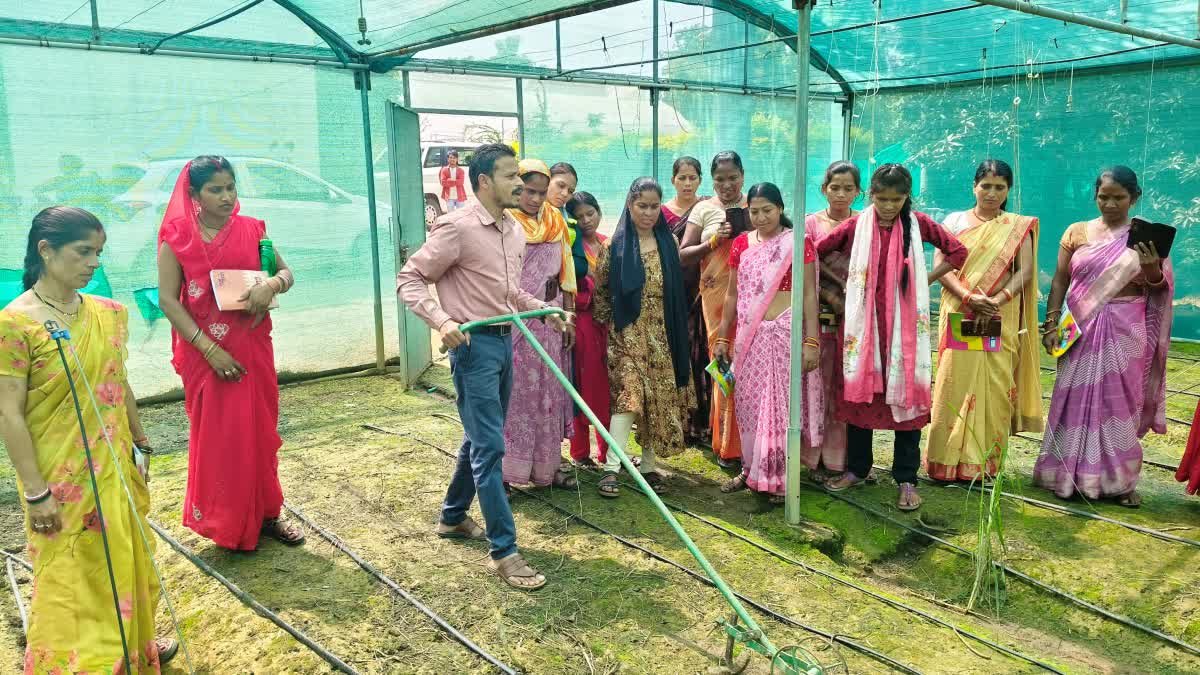 कृषि विज्ञान केंद्र शहडोल में किसानों को मिला प्रशिक्षण, वैज्ञानिकों ने दिए मृदा स्वास्थ्य और जैविक खेती के टिप्स