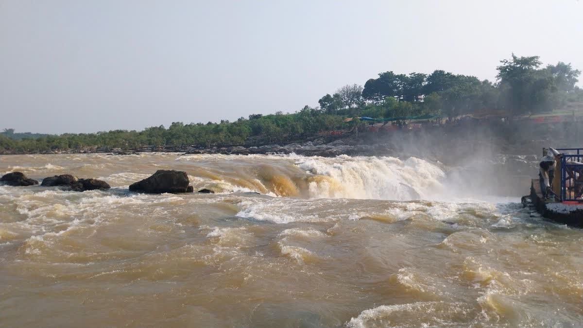 मानसूनी ब्रेक के बाद जबलपुर के भेड़ाघाट में शुरू हुआ नौकायन, संगमरमर की चट्टानों के बीच उमड़े पर्यटक