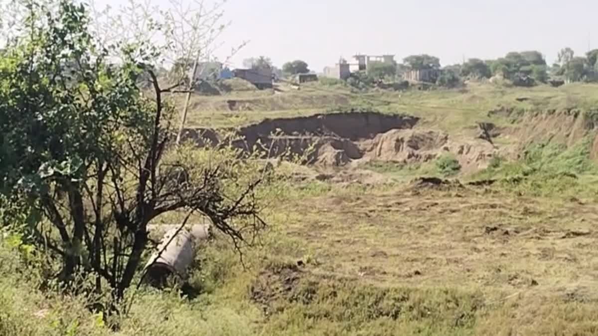 धार जिले में कम बारिश से किसानों की बढ़ी चिंता, रबी फसल में गेहूं की जगह चने की बोवनी पर जोर