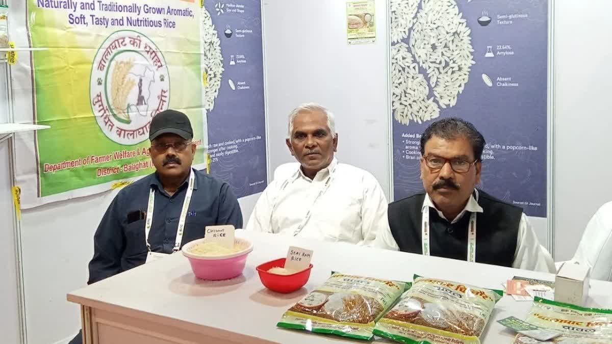 खास मिट्टी और वैनगंगा के पानी का कमाल, विदेशों तक महक बिखेर रहा है बालाघाट का चिन्नौर धान