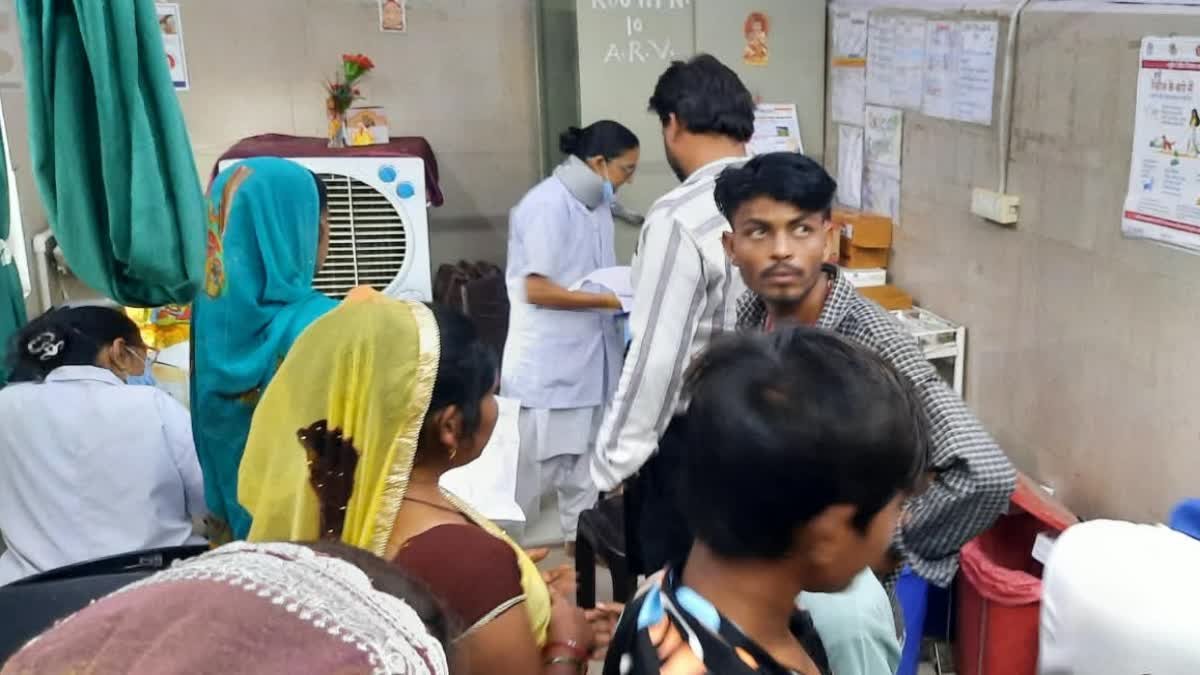 जिला अस्पताल में रोजाना पहुंच रहे 70 से अधिक डॉग बाइट के केस, नगरपालिका की लापरवाही से लोग परेशान
