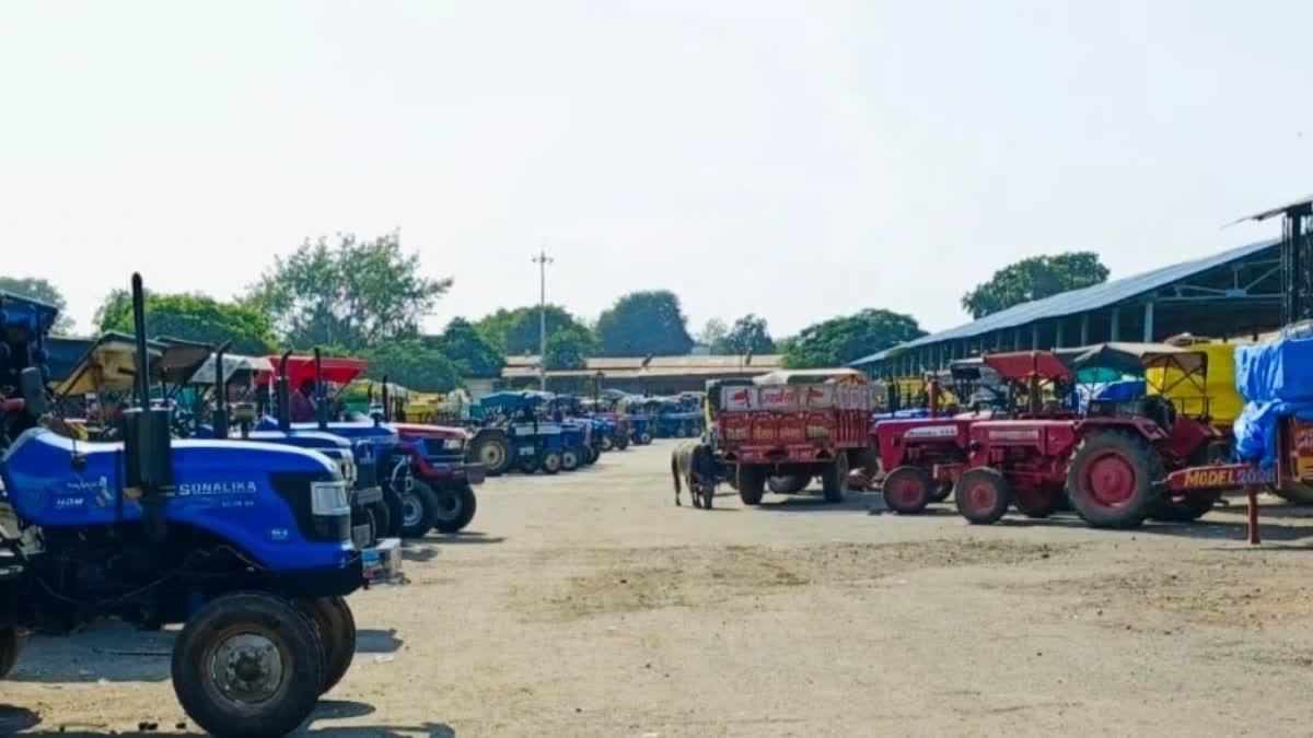 कृषि उपज मंडी गुना में टूटा मक्के की आवक का पुराना रिकॉर्ड, 4000 किसान 2000 ट्रैक्टर लेकर पहुंचे