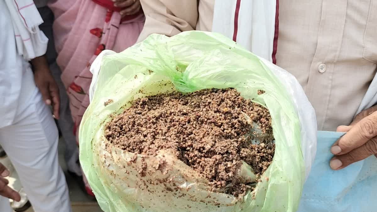डीएपी खाद के कट्टे में निकली महुअर नदी की रेत, किसान की शिकायत पर कृषि विभाग ने लिए सैंपल