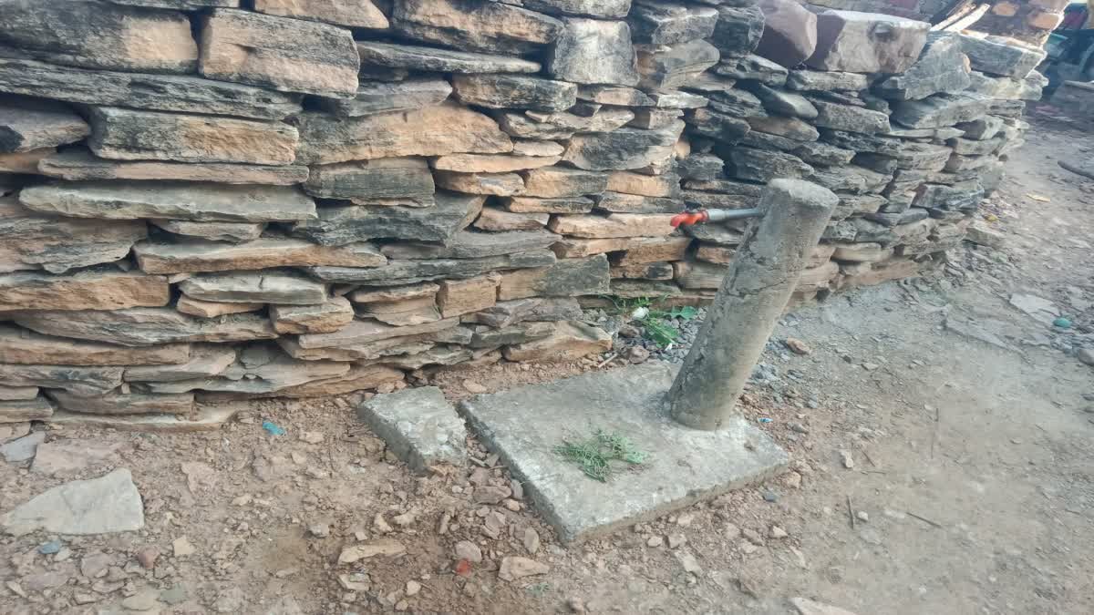 बुढ़ेरा गांव में पिछले 3 महीने से बंद है नल जल योजना, महिलाओं को सिर पर पानी ढोने को मजबूर होना पड़ रहा