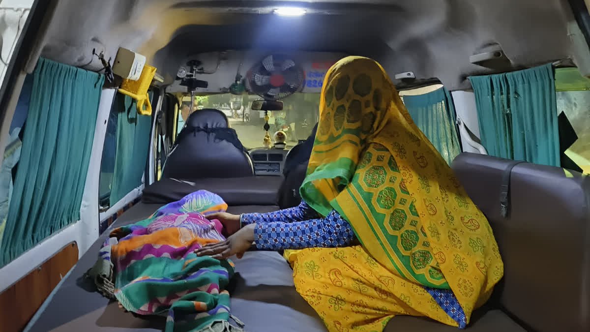 पलसोड़ी गांव में दिल दहला देने वाली घटना, आंगन में खेल रही 3 साल की मासूम पर आवारा कुत्तों का हमला; मौत