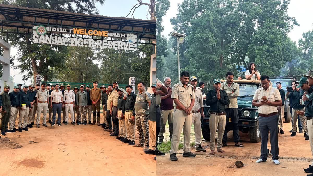पर्यटकों के लिए खुले जंगल के दरवाजे, 1 अक्टूबर से शुरू हुआ नया पर्यटन सत्र