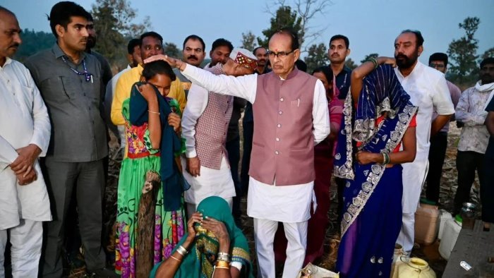 बुधनी वन क्षेत्र अतिक्रमण मामले में जांच रिपोर्ट शासन को सौंपी, सागौन के पौधे काटकर बनाई गई थीं झोपड़ियां