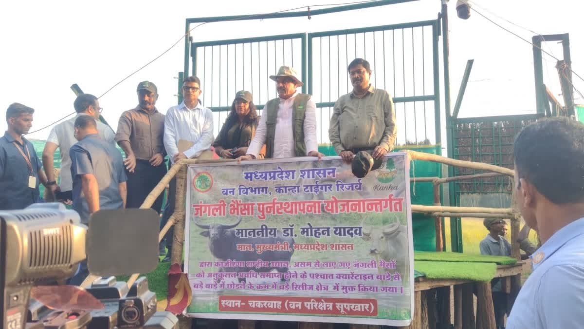 नक्सलियों के खौफ से मुक्त हुआ विश्व प्रसिद्ध कान्हा टाइगर रिजर्व, पर्यटकों और स्थानीय लोगों में खुशी