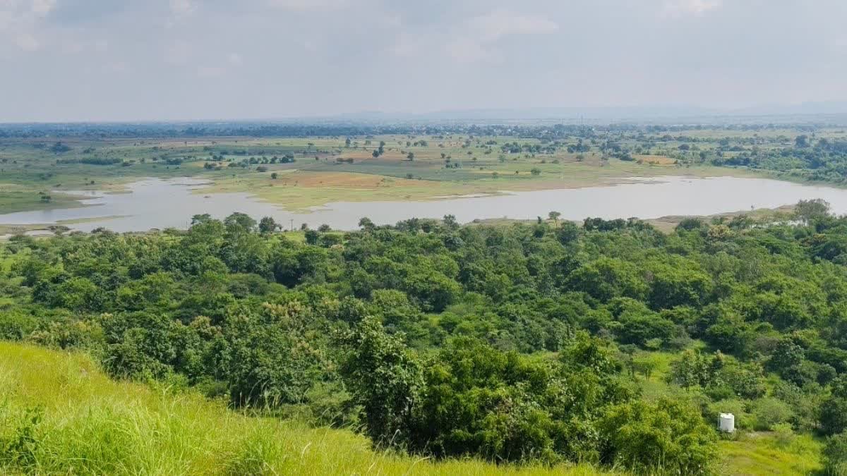 जल्द आम जनता के लिए खुलेगा धार का नया नगर वन, 15 अलग-अलग प्रकार के फॉरेस्ट और गार्डन विकसित