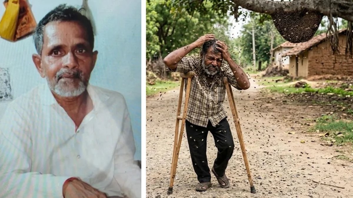 खंडवा जिले में मधुमक्खियों के काटने से किसान की मौत, अचानक हुए हमले से नहीं मिला संभलने का मौका