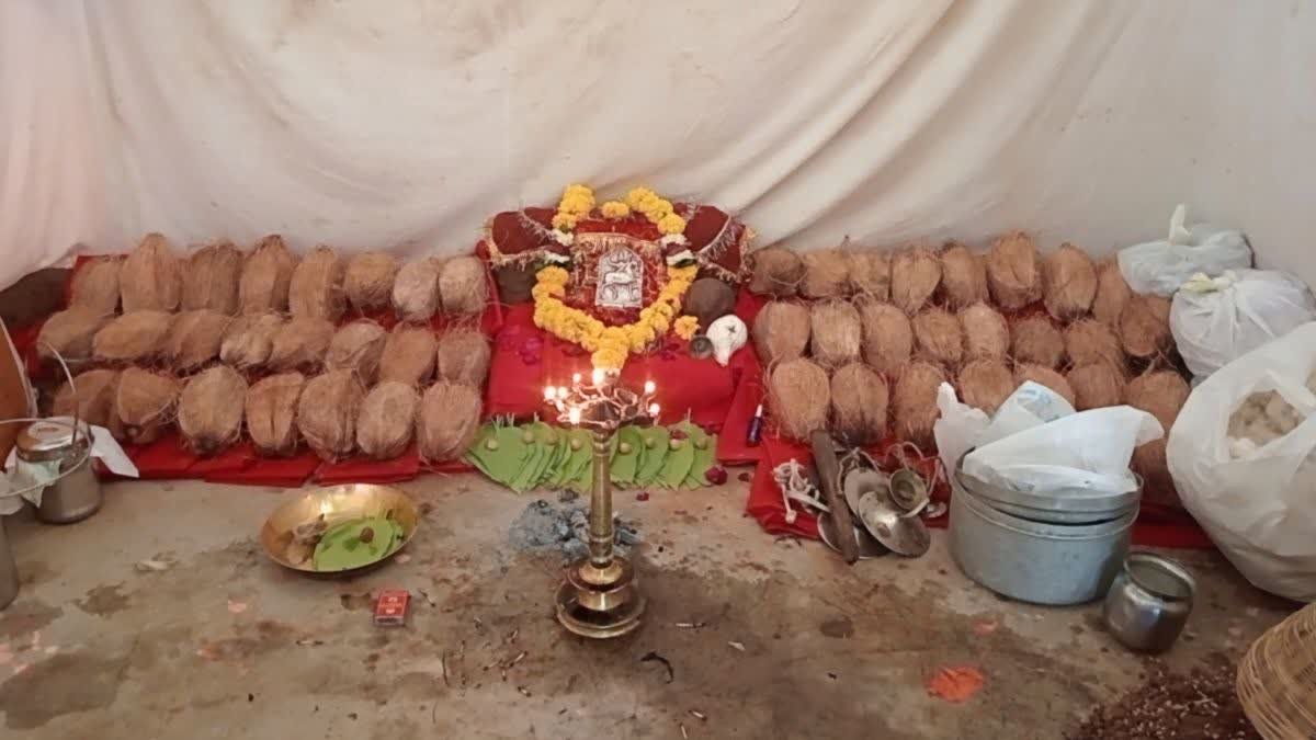 मालवीर के गोसाई टांडा में नवरात्रि पर अनोखी परंपरा, 9 दिन के लिए मंदिर से बाहर विराजित होती हैं मां चालकी देवी