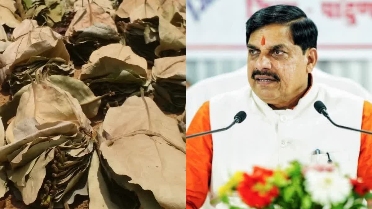शहडोल में 89 निर्माण कार्यों का भूमिपूजन और 45 का लोकार्पण करेंगे सीएम मोहन यादव