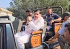 मुख्यमंत्री ने कान्हा में बाघ का किया दीदार, असम से लाए गए जंगली भैंसों को प्राकृतिक आवास में किया मुक्त